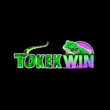 tokekwin APK Gaple